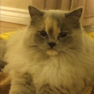 Meet your Posher, Danika